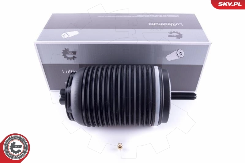 Air Spring, suspension